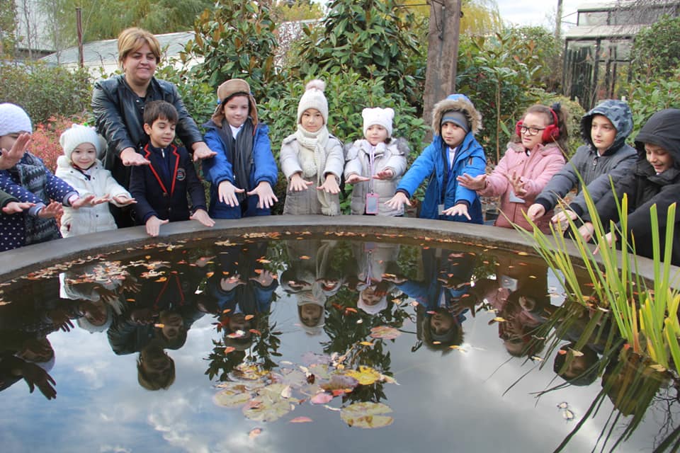 გალერეა