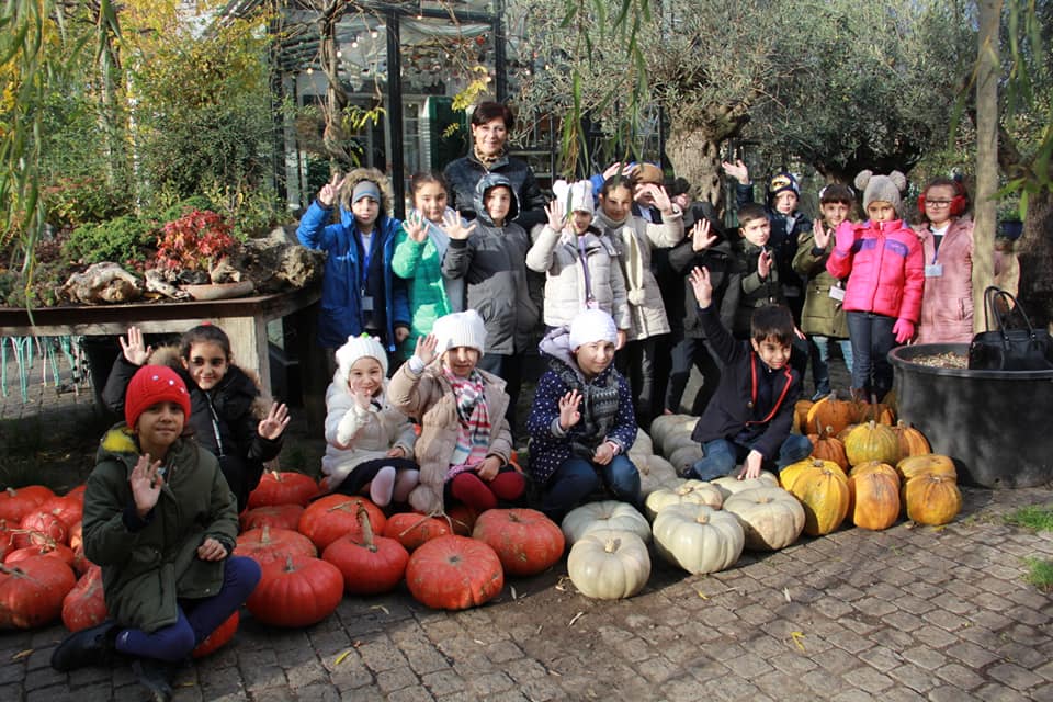 გალერეა