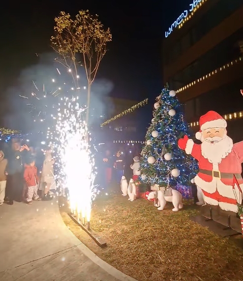 სკოლა “ახალ თაობაში” საახალწო ნაძვის ხე საზეიმოდ ავანთეთ
