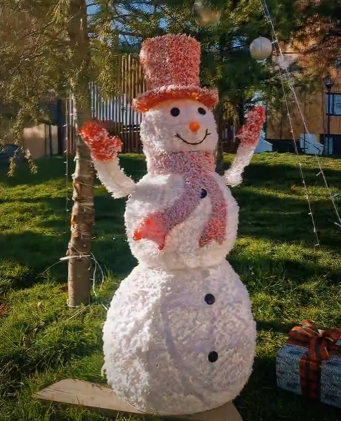 ასე ჯადოსნურად ხვდება ჩვენი სკოლა ახალ წელს🌲