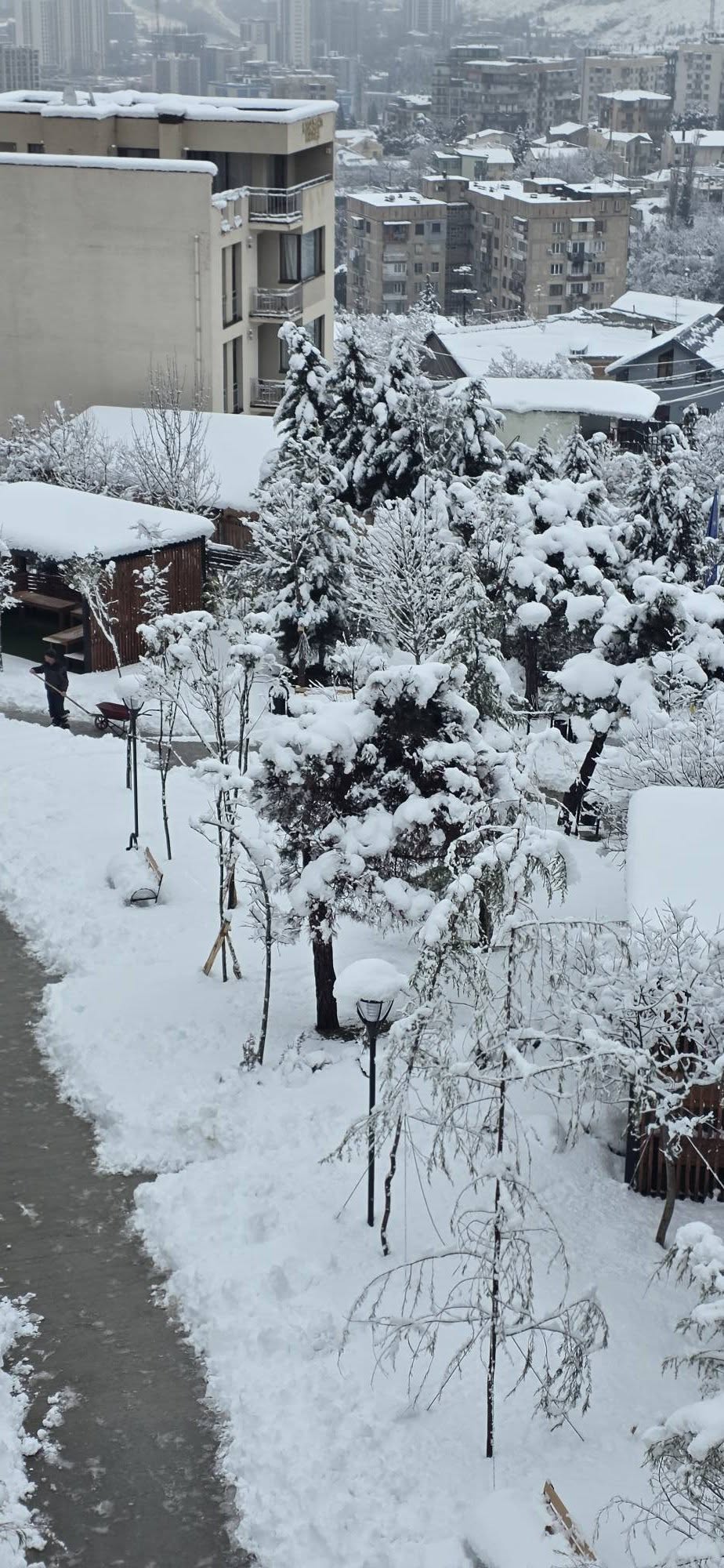 თოვლიანი სკოლა ,,ახალი თაობა”❄️