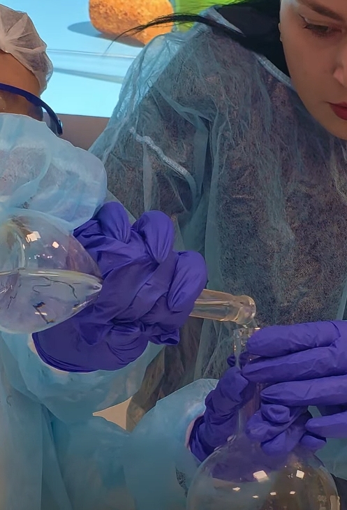 სკოლა „ახალმა თაობამ“ მენტალური არითმეტიკის ოლიმპიადაში გამარჯვებულ და მონაწილე მოსწავლეებს საკუთარ ულტრათანამედროვე „აინშტაინის“ ქიმიის ლაბორატორიაში უმასპინძლა.