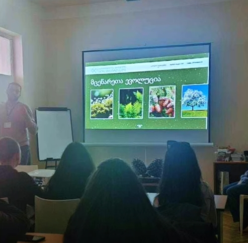 უხილავი სამყარო ჩვენს ხელისგულზე! 🙌🍃